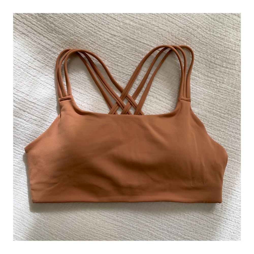 Hyper Focused Bra